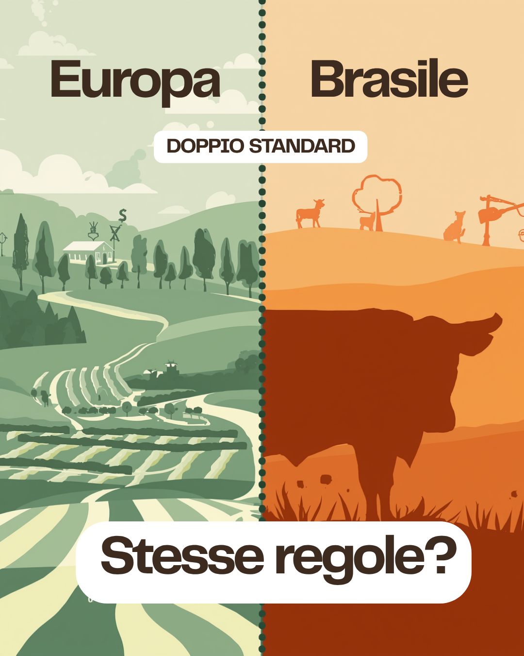 carne brasiliana vietata UE 2026